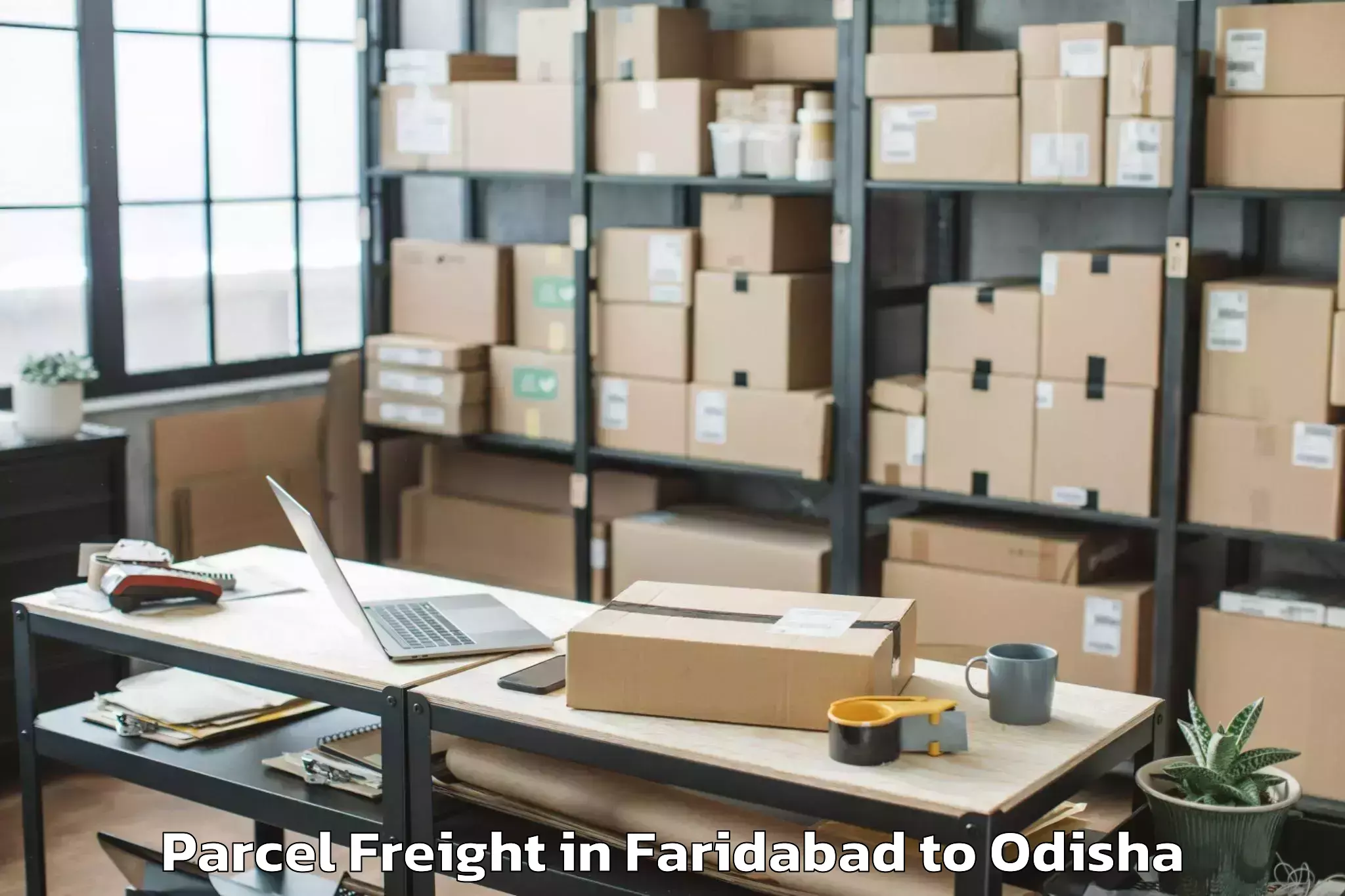 Easy Faridabad to Khajuripada Parcel Freight Booking